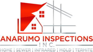 Anarumo Inspection Services logo
