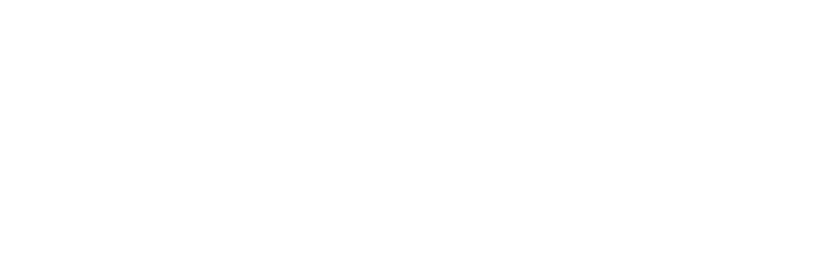 Bluestone Roofing logo