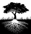 Sage Roots Consulting LLC logo